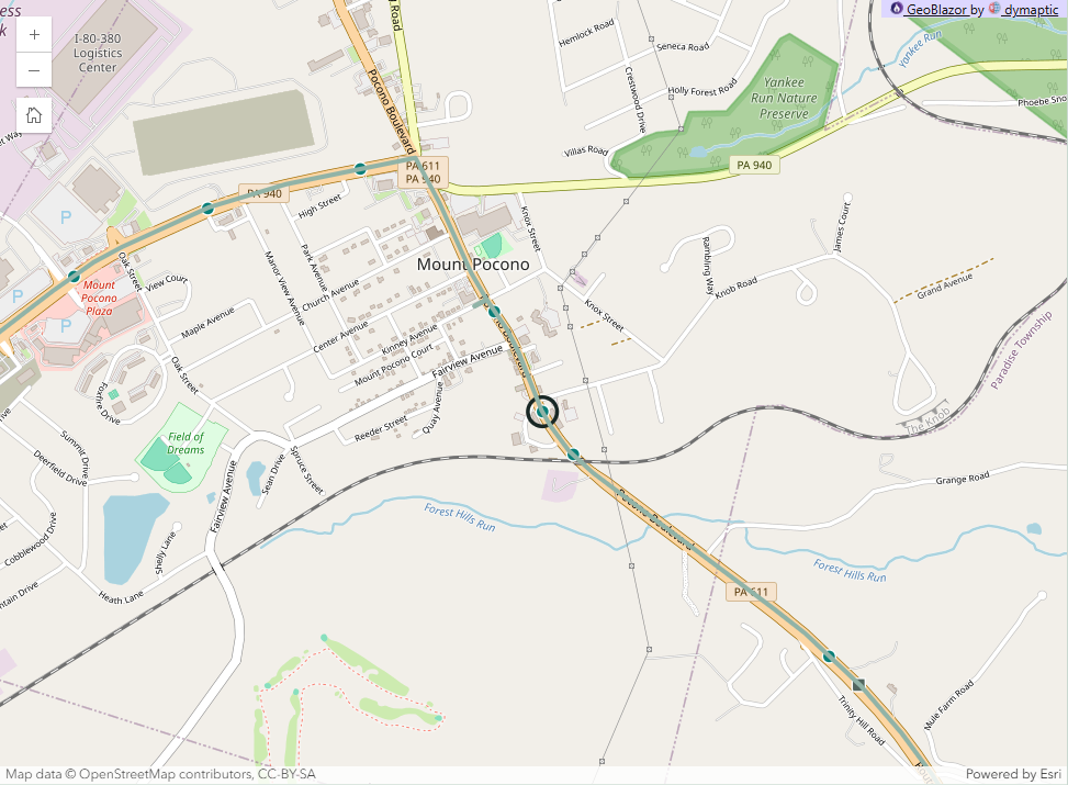The map zoomed to truck 007, with the selected truck ringed and its route name shown.